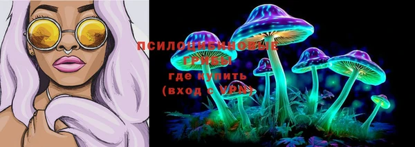мяу мяу мука Пересвет