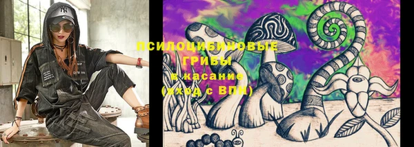 твердый Переславль-Залесский