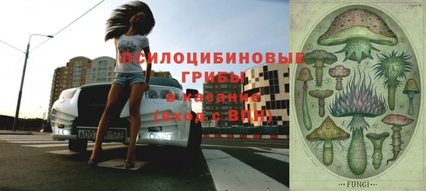 мяу мяу мука Пересвет