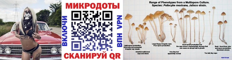 Галлюциногенные грибы ЛСД  ОМГ ОМГ как зайти  Вольск  магазин продажи наркотиков 