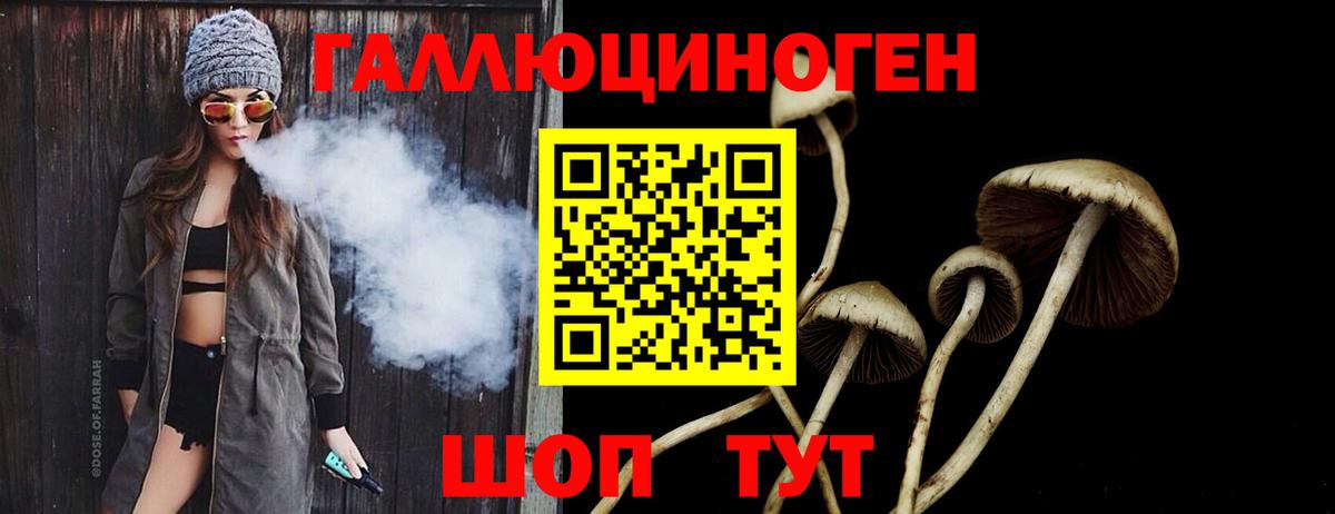 Псилоцибиновые грибы Psilocybe  Вольск  Галлюциногенные грибы мицелий 