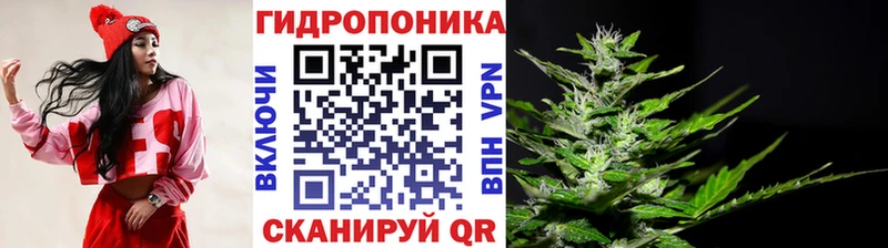Марихуана Amnesia  магазин    Вольск 